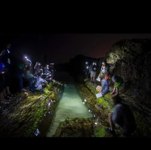 Coqueto Duplex Con Dos Terrazas Y Piscina Cerca De La Playa De La Virgen Del Mar Apartment *